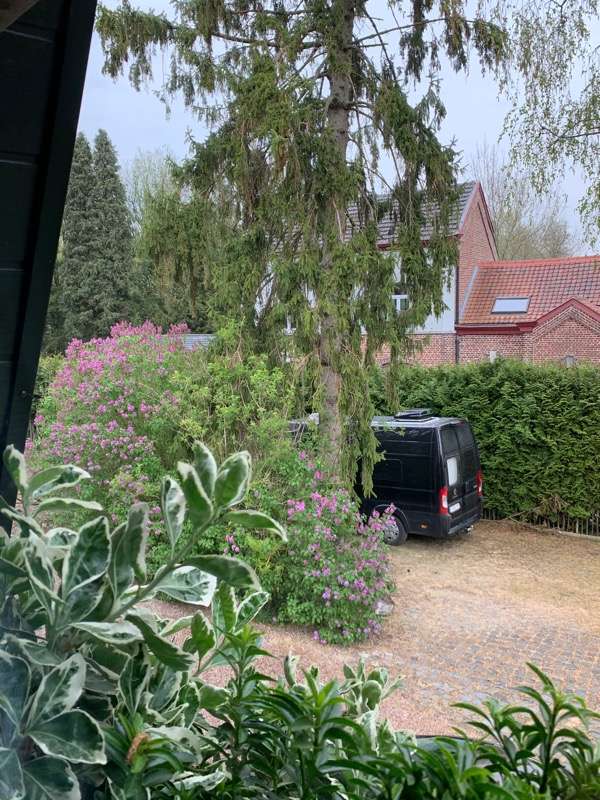 De Boomgaard