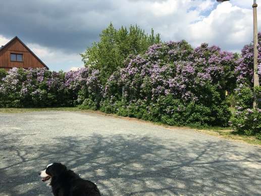 Added a photo to a location