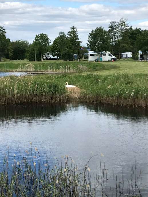 Een foto toegevoegd aan een locatie