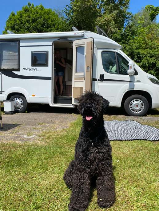 Een foto toegevoegd aan een locatie