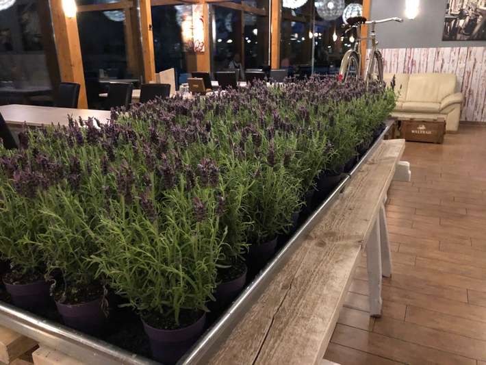 Parking Restaurant Weltrad