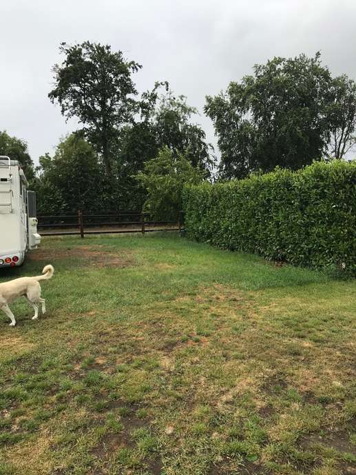 Een foto toegevoegd aan een locatie