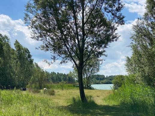 Added a photo to a location