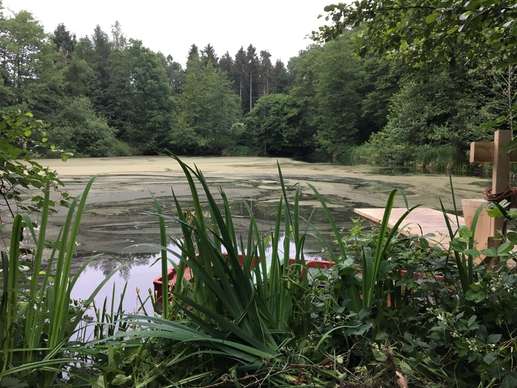 Added a photo to a location