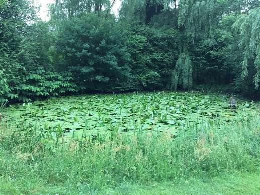Added a photo to a location