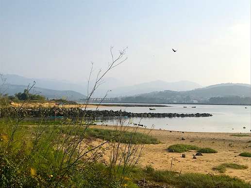Added a photo to a location