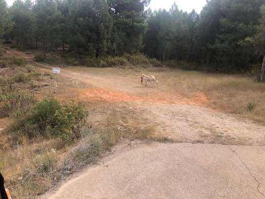 Added a photo to a location