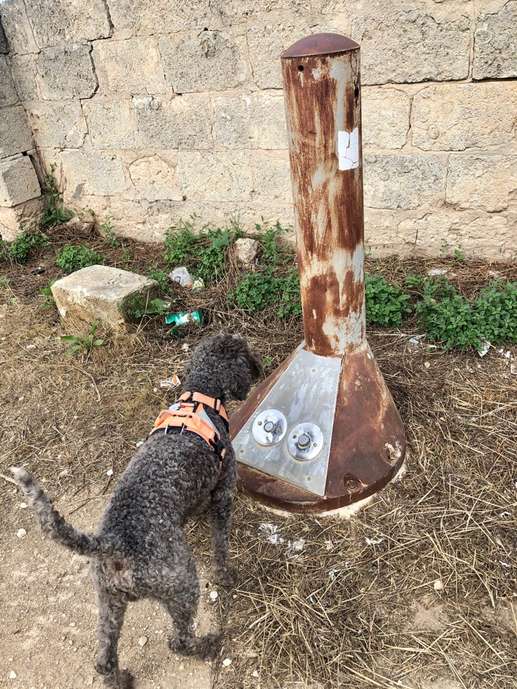 Aggiunta una foto a una posizione