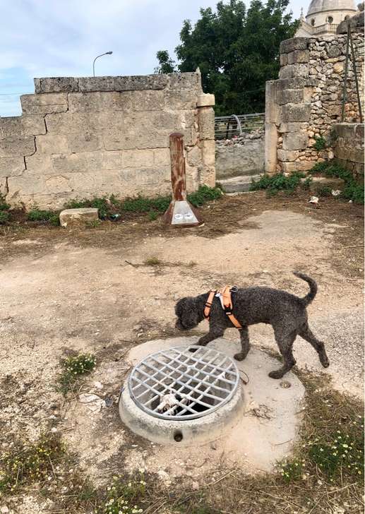 Aggiunta una foto a una posizione