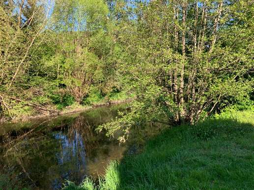 Added a photo to a location