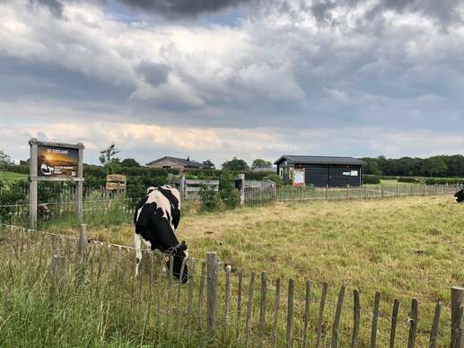 Een foto toegevoegd aan een locatie
