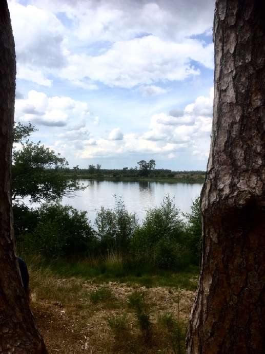 Een foto toegevoegd aan een locatie