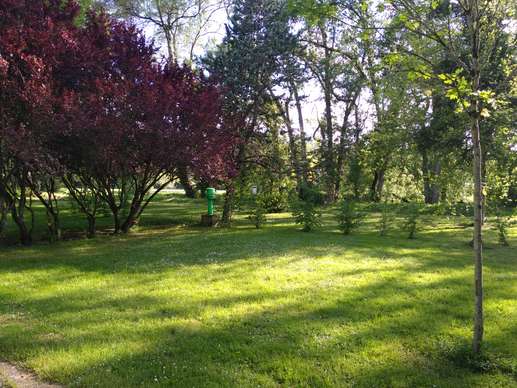 Added a photo to a location