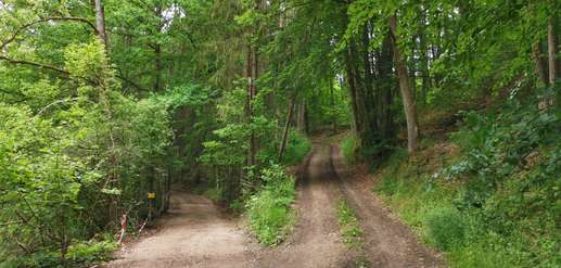 Een foto toegevoegd aan een locatie