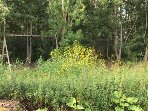 Added a photo to a location