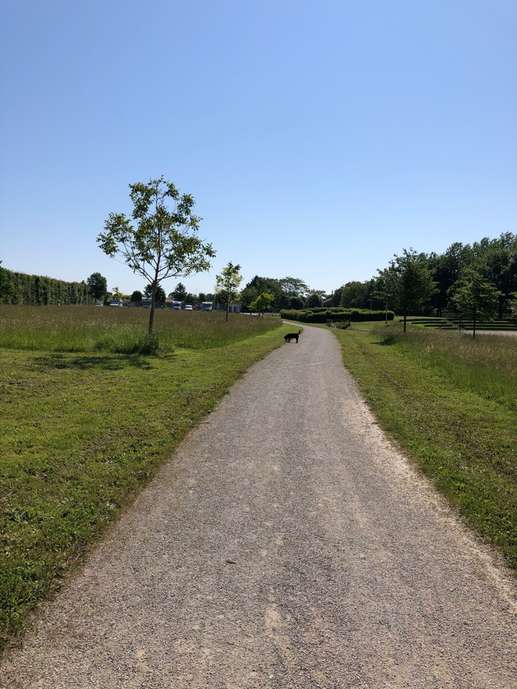 Added a photo to a location