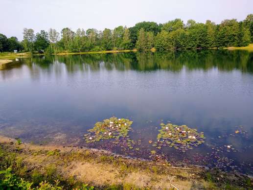 Added a photo to a location