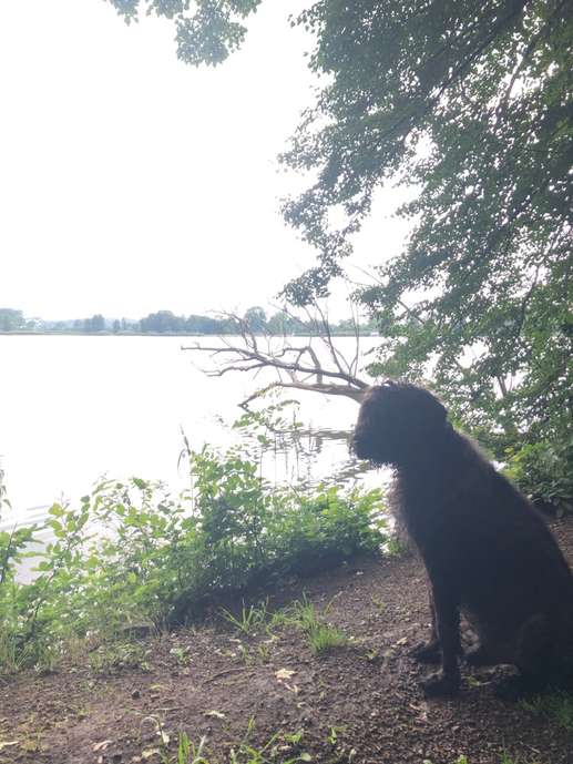 Einem Ort wurde ein Foto hinzugefügt