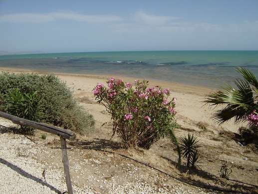Added a photo to a location