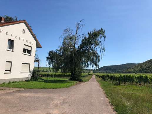 Einem Ort wurde ein Foto hinzugefügt