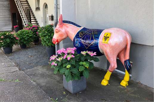 Einem Ort wurde ein Foto hinzugefügt