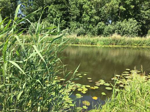 Een foto toegevoegd aan een locatie