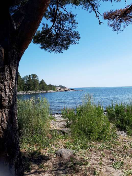 Added a photo to a location