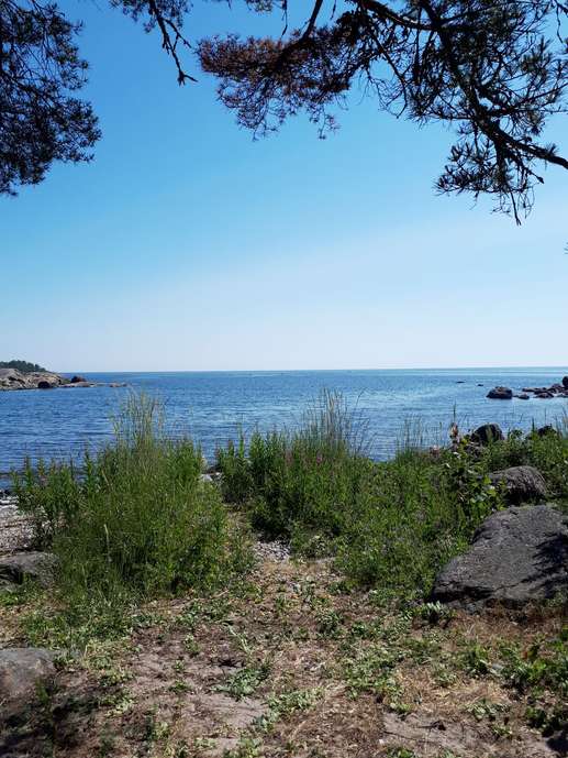 Added a photo to a location