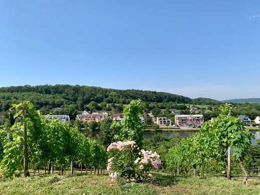 Added a photo to a location