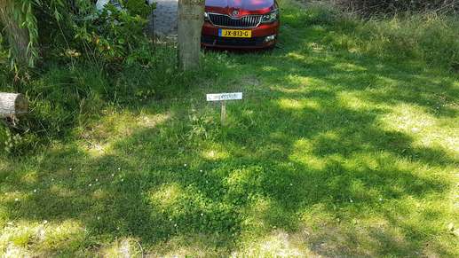 Een foto toegevoegd aan een locatie