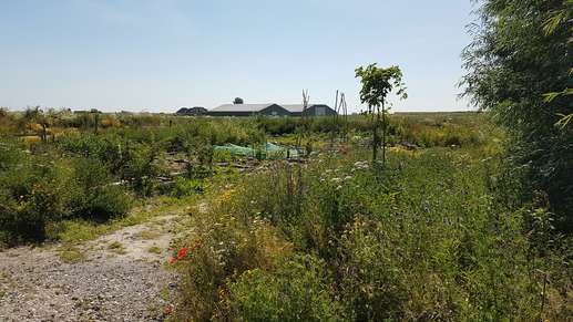 Een foto toegevoegd aan een locatie