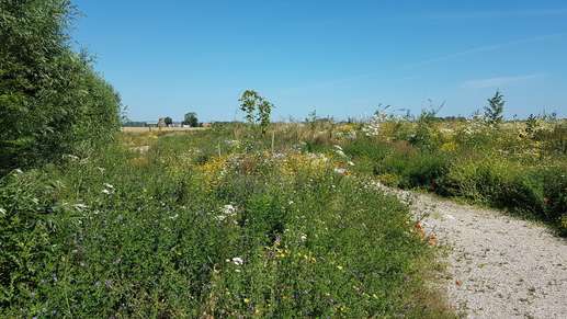 Een foto toegevoegd aan een locatie