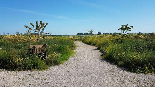 Een foto toegevoegd aan een locatie