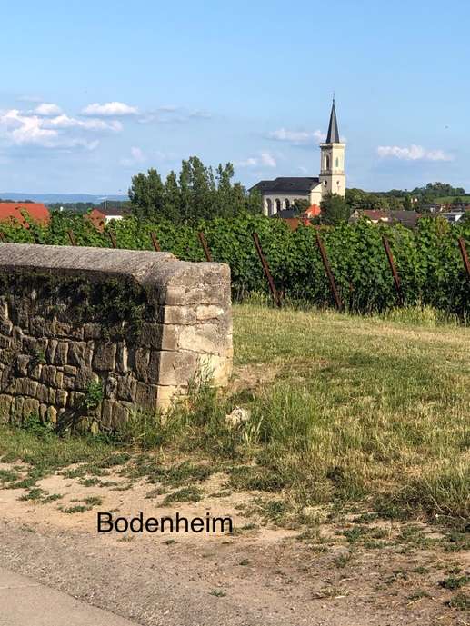 Een foto toegevoegd aan een locatie