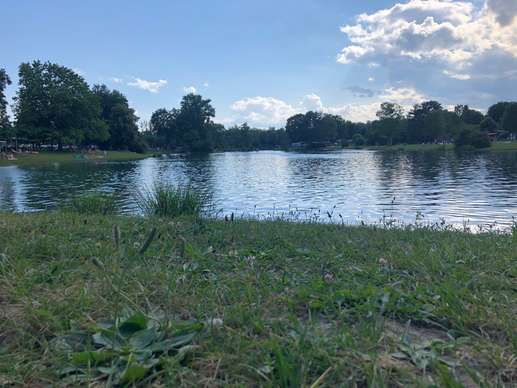 Een foto toegevoegd aan een locatie