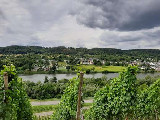Een foto toegevoegd aan een locatie