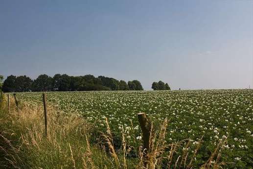 Een foto toegevoegd aan een locatie