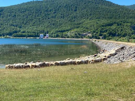 Added a photo to a location