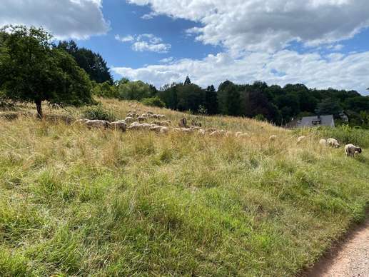 Een foto toegevoegd aan een locatie