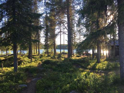 Added a photo to a location
