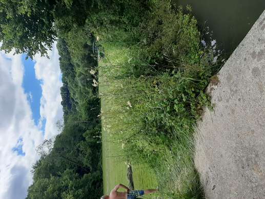 Een foto toegevoegd aan een locatie