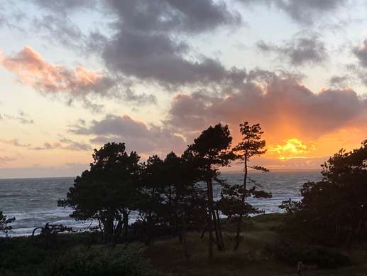 Een foto toegevoegd aan een locatie