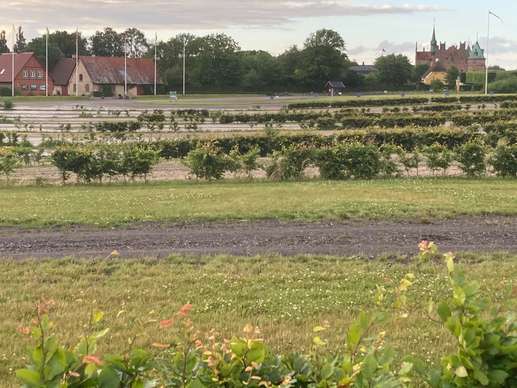 Een foto toegevoegd aan een locatie