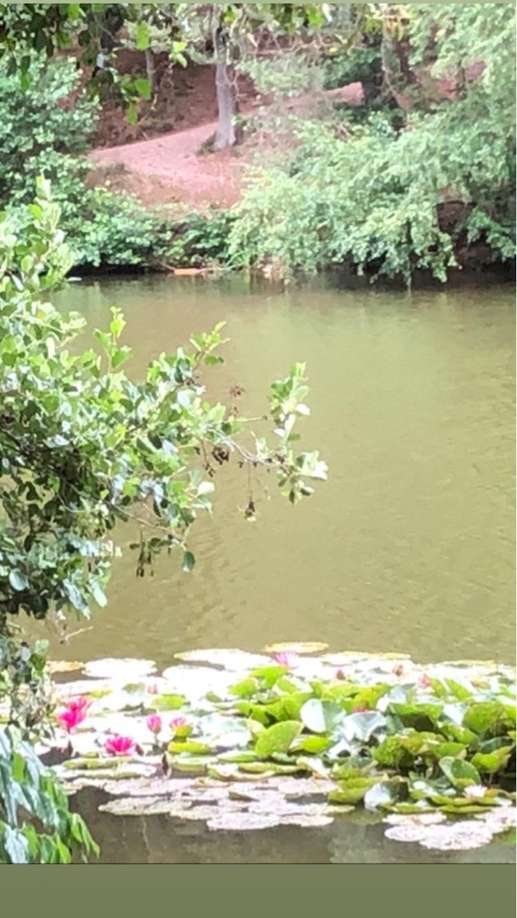 Een foto toegevoegd aan een locatie