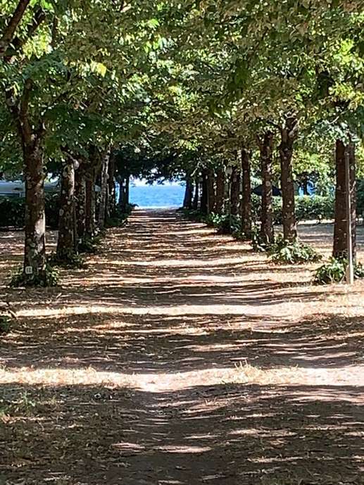 Aggiunta una foto a una posizione