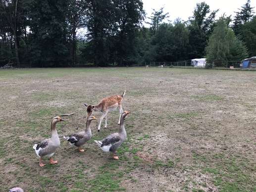 Added a photo to a location