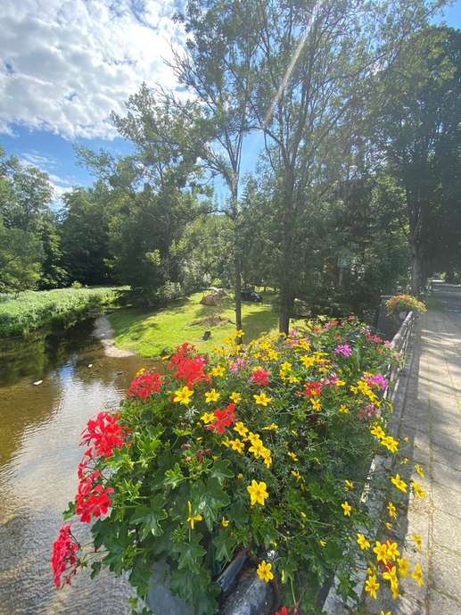 Een foto toegevoegd aan een locatie