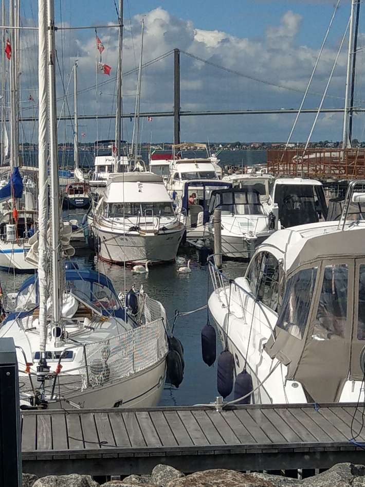 NyHavn2 Middelfart