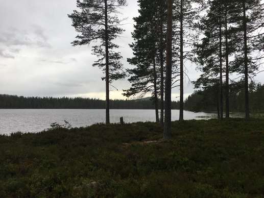 Added a photo to a location