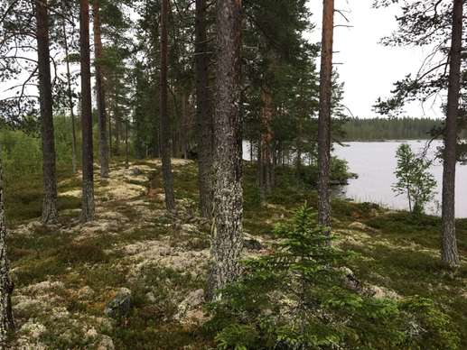 Added a photo to a location